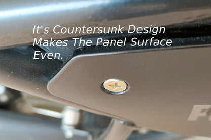Countersunk screw flush-fit design on Himalayan 411 side panel surface