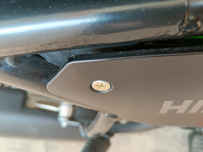 Close-up of countersunk screw flush with Himalayan 411 panel surface